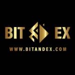 Bitandex Profile Picture