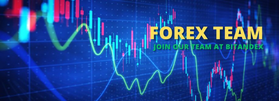 forexteam Cover Image