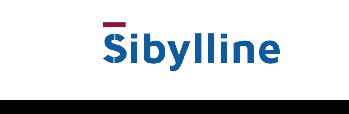 Sibylline Trading Contracting Cover Image
