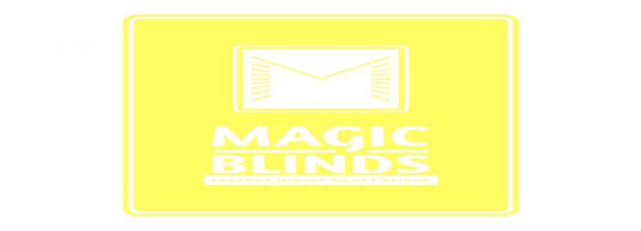 Magic Blinds Cover Image